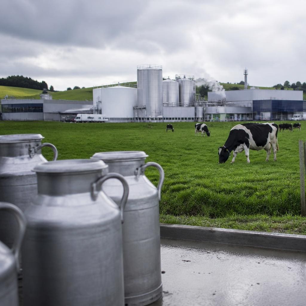 Fonterra cuts milk price outlook as demand cools - Modern Marks Business Consultants